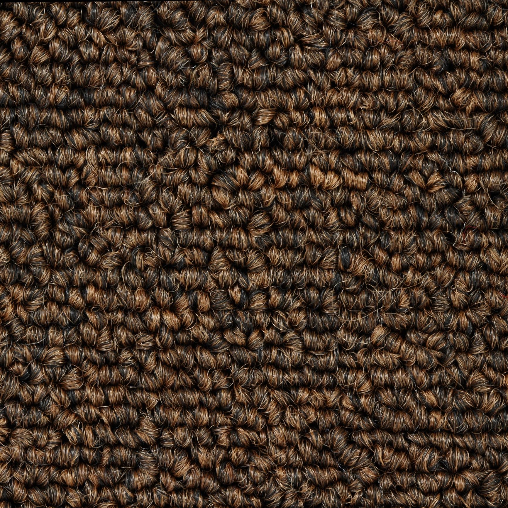Brown carpet texture detail